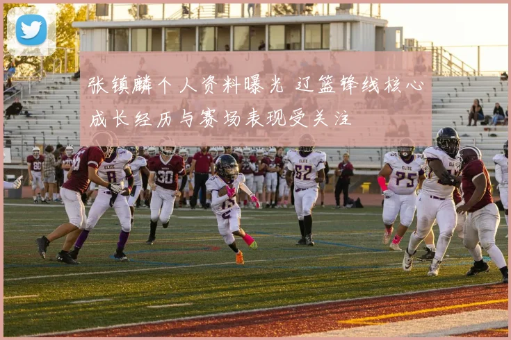 张镇麟个人资料曝光 辽篮锋线核心成长经历与赛场表现受关注