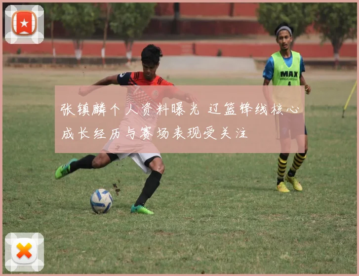 张镇麟个人资料曝光 辽篮锋线核心成长经历与赛场表现受关注