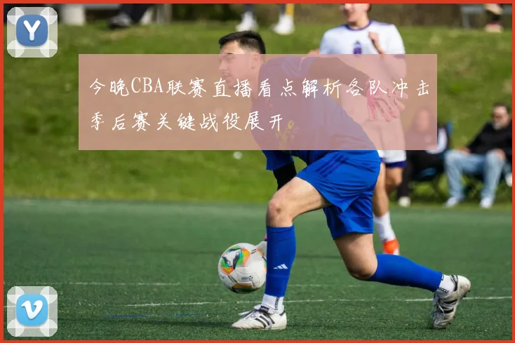 今晚CBA联赛直播看点解析各队冲击季后赛关键战役展开