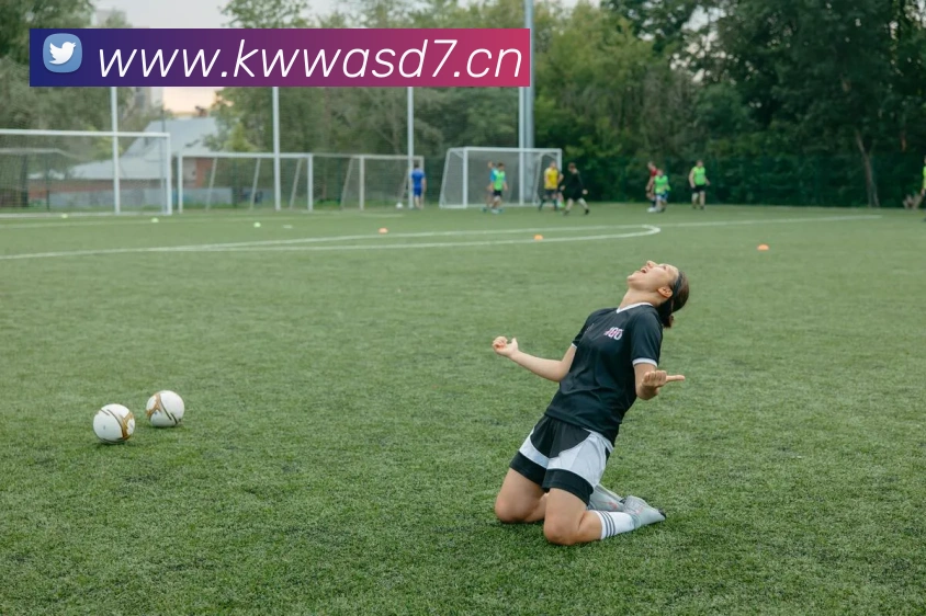 emc易倍官网APP 高清赛事图